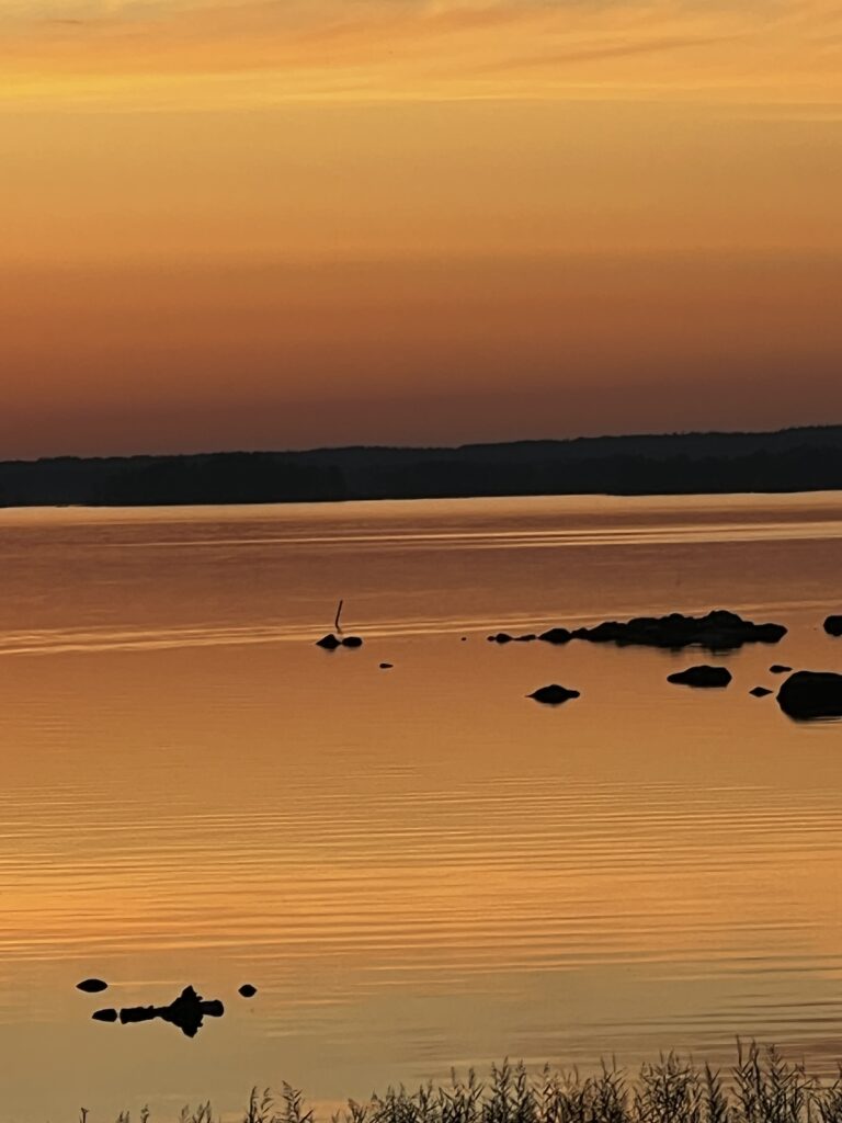 Rauha, joka ei katoa