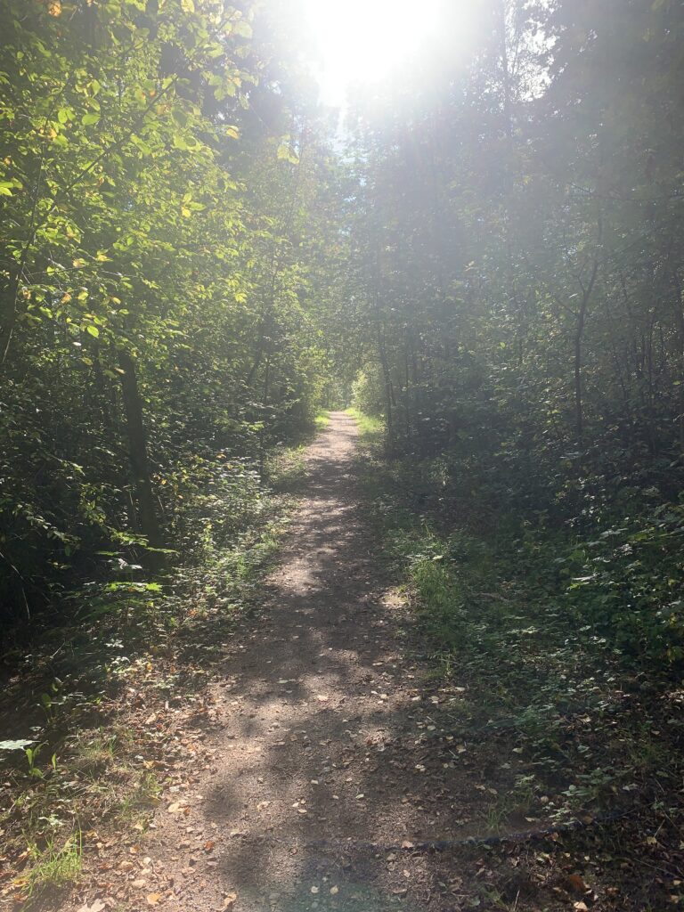 Mihin suuntaan korva käännetään