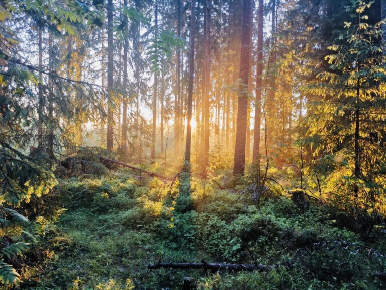 Synti – ei vain teko, vaan suunta