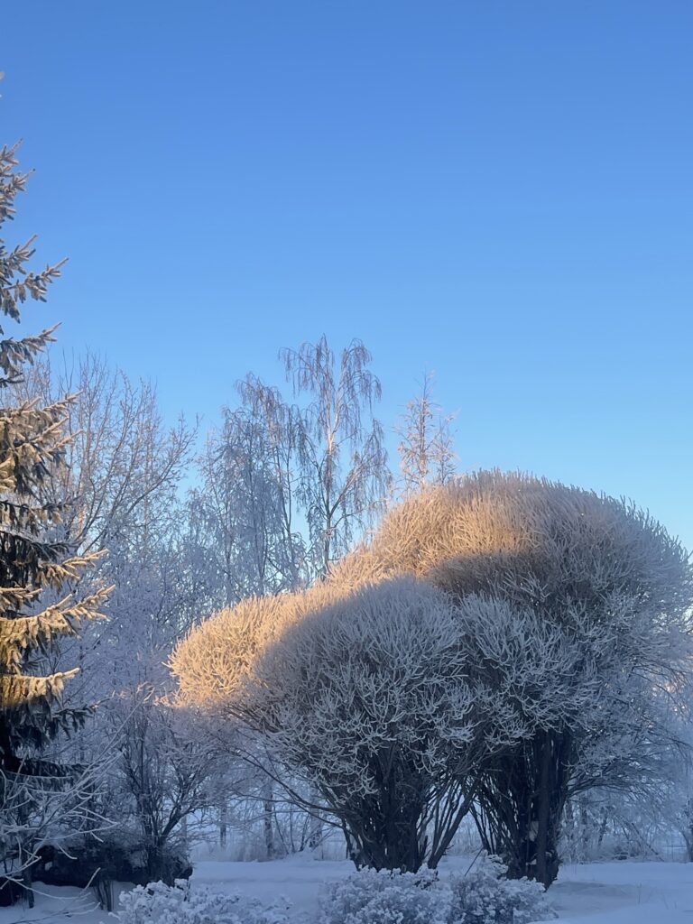 Kortit lupasivat vastauksia, Jeesus näytti tien