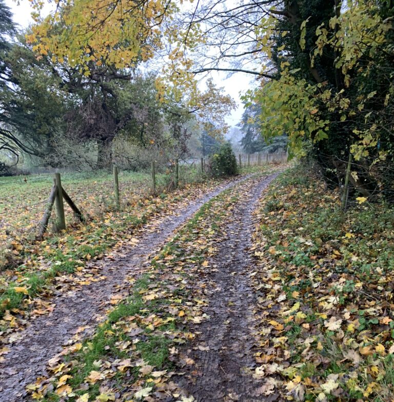 Kuolemaa kohti