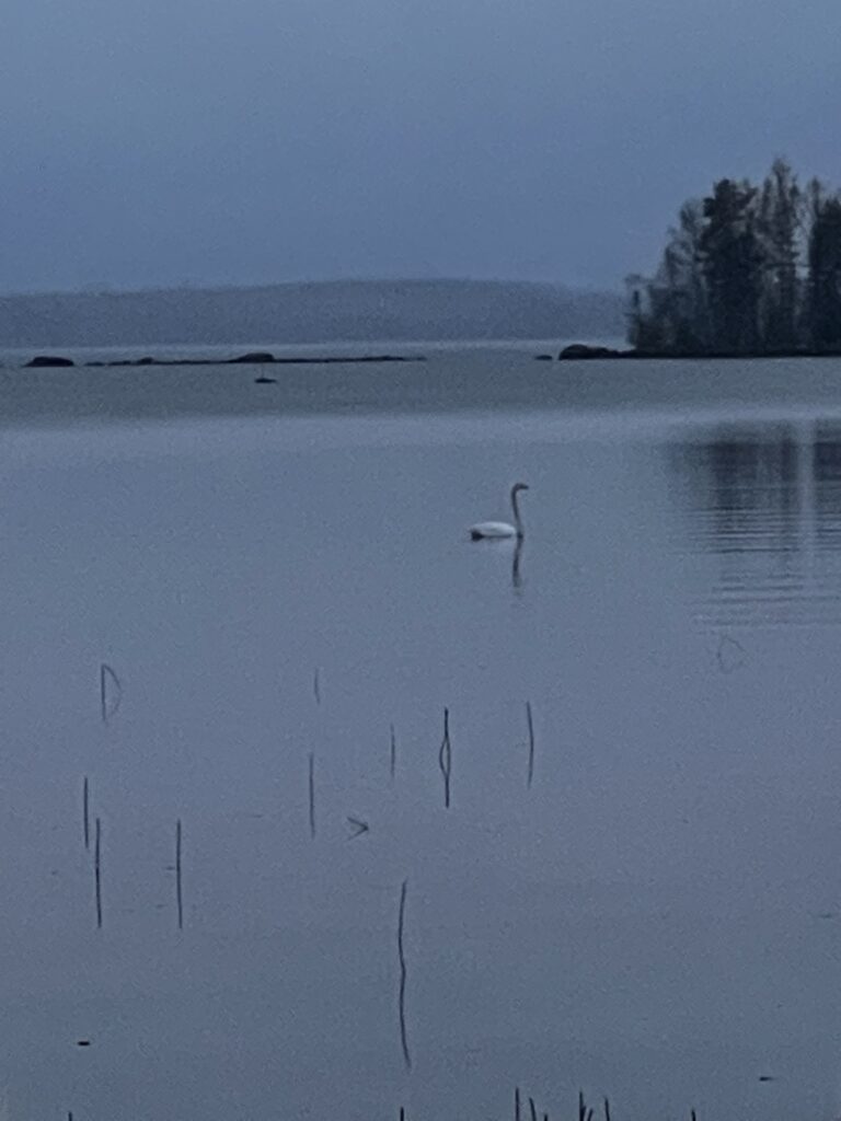 Pitkäperjantaina kaikki näytti olevan ohi