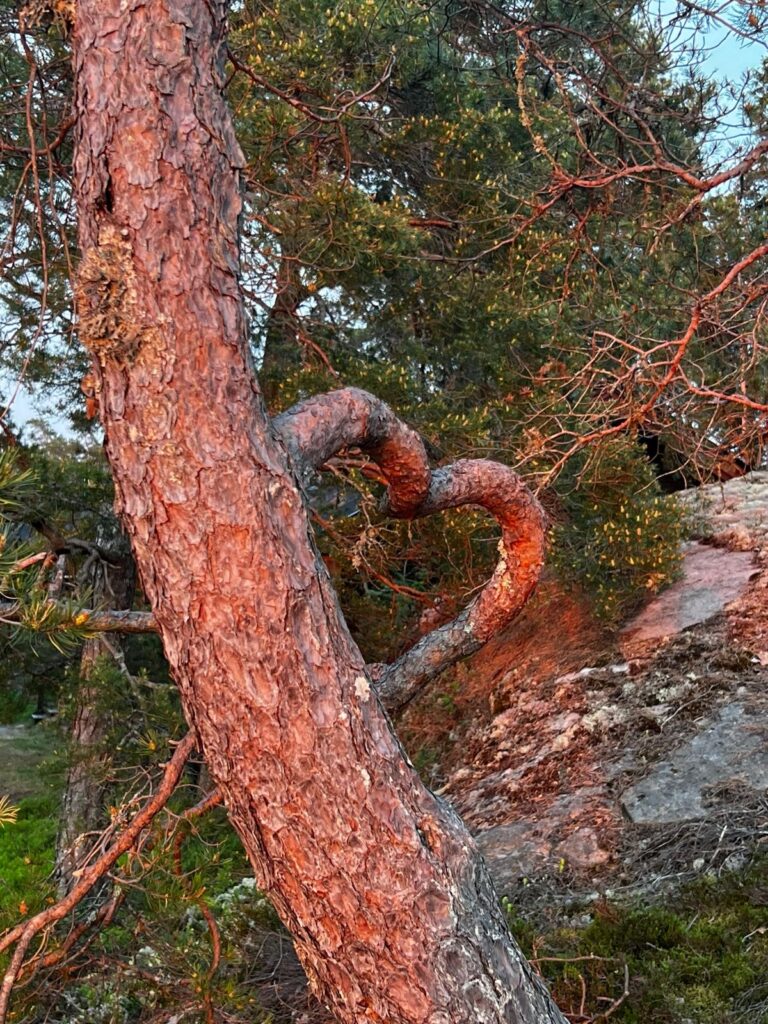 Kun mieli menee vanhaa rataa, vaikka sydän haluaisi jo muuta
